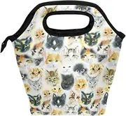 Lunch Box Cats Watercolor Reusable Insulated School Lunch Bag for Women Kids
