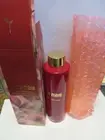 NIB Terre Mere Aloe and Tea Tree Anti-Aging Toner Full Size 5oz/150ml