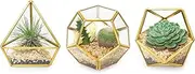Cozioz 4-Inch Mini Glass Geometric Terrarium Set of 3, Modern Tabletop Planter Display for Succulents, Air Plants & Fairy Gardens, Gold Frame, Plant Not Included