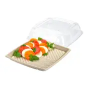 100x Disposable Platter w Lid Square 12" / 31cm Compostable Grazing Catering