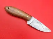 Handmade Beautiful Damascus 6" Pocket Knife Rose Wood Handle With Sheath F724