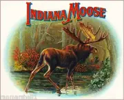 1909 Indiana Moose Smoke Vintage Cigar Tobacco Box Crate Label Print