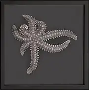 Howard Elliott Starfish Framed Wall Art, Canvas Modern Abstract Artwork for Your Home & Office Decoration