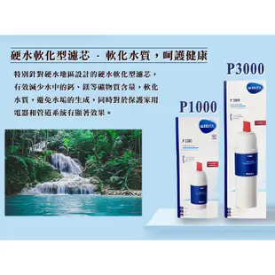 【郊油趣】Brita 廚下型濾水器濾芯 A1000 P1000 P3000 mypure A1 P1 長效型濾芯