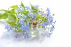 PREMIUM HIGHLY SCENTED REED DIFFUSER REFILLS - Neroli & Lavender Fragrance