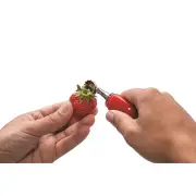 Strawberry Slicer & Huller by Joie