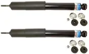Bilstein Rear Shocks 1964-66 Ford Thunderbird (for: Ford)