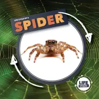 在飛比找博客來優惠-Life Cycle of a Spider
