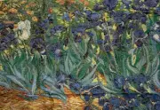 VINCENT VAN GOGH "IRISES" Needlepoint Tramme Kit 25 1/2" x 17 3/4"