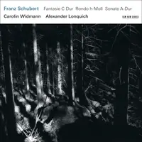 在飛比找誠品線上優惠-Franz Schubert Fantasie C-Dur 