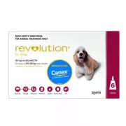 Revolution Red for Medium Dogs 10-20kg Flea & Worming Treatment Spot On 6 pack