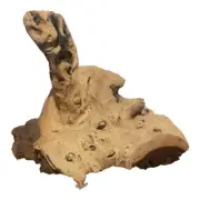 aquarium decorations Drift Wood. For Hermit Crab, Snake, Or Fish Aquariums