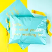 WRAPLA 25 x 33cm Poly Mailers Shipping Bags Text Printed Blue-Green Poly Mailers 2.3 Mil Heavy Duty Self Seal Mailing Envelopes - 100 Pack