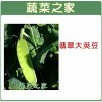 在飛比找樂天市場購物網優惠-【蔬菜之家】E04.翡翠大莢豆(改良種)種子(共有2種包裝可