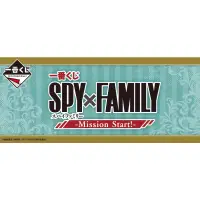 在飛比找蝦皮購物優惠-間諜家家酒 一番賞 SPY X Family B賞 E賞 G