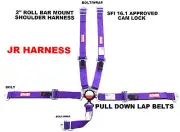 OFF ROAD HARNESS SFI 16.1 5 POINT CAM LOCK ROLL BAR MOUNT BELT PURPLE