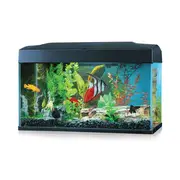 Blue Planet Classic Aquarium 50L