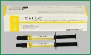 5 X CAL LC Light Cured Radiopaque Calcium Hydroxide Paste 2 x 2gm INTRO PACK FS