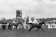 Last Suspect 1985 Grand National Win 1 Horse Racing Old Photo