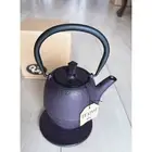 Nanbu Tekki Cast Iron Teapot Roji Color Pot w/ Enamel Interior & Tea Strainer