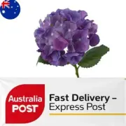 Artificial Silk Real Touch Hydrangea Single Stem - Purple/Liliac - 49cm
