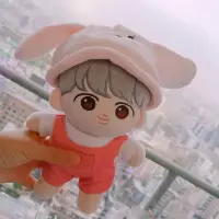 在飛比找蝦皮購物優惠-出清 EXO 餅乾娃衣 玩偶 衣服 20CM 娃娃衣服 兔子