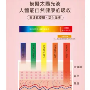 【北方】NR-561G石墨烯健康雙人電熱毯｜可除塵蟎 超商快出 5段調溫 1-8小時定時 電毯