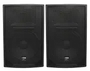Weconic PA Speakers Pair 300W WP-15