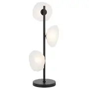 Zaria Matt Black Frosted Glass Table Lamp