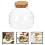 Large Aquariums Flower Pot Food Containers Succulent Planters