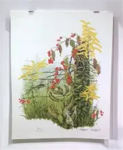 Maryrose Wampler, Goldenrod, Signed Print, 28x22 Wall Art, Plate 13