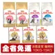 Royal Canin法國皇家 貓專用乾糧 10Kg 貓糧 貓飼料『Q老闆寵物』