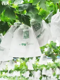 在飛比找樂天市場購物網優惠-可開發票廠家直銷陽光玫瑰葡萄專用套袋防鳥防果蠅白色枇杷石榴瓜