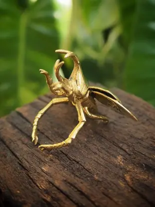 Flying Rhino Beetle Ring in Brass With White Enamel Wings. Adjustable Size.