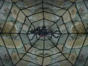 Giant Spider Web With Spider Halloween Party Decor Prop Haunted House Black Hang