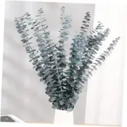 16 Pcs Dried Eucalyptus Stems, 17'' Natural Fresh Eucalyptus Leaves Branches