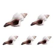 Turbo Seashell Natural Conch Large Huge Shells for Fish for Air Plants Déco