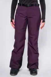O'Neill Star Insulated Snow Pants - Women's - Large / Aubergine