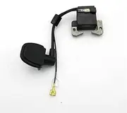 HUVNEXA IGNITION COIL, For 1E40F-6 40-6 49cc 40F-62, STROKE GASOLINE ENGINE STATOR IGNITER MAGNETOR COIL SCOOTER GO CART PUMP IGNITOR PARTS Lawn Mower Ignition Coil
