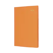 2025 Diary Collins Belmont Colours A5 Week to View Orange 387.V44