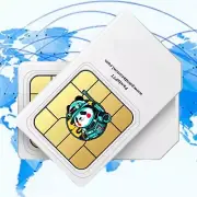 BYOD (bring your own device) DATA SIM CARD 250mb P/M Annual Prepay