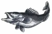 Walleye Fish Embroidered Iron On/Sew patch [5" x 4.85"]