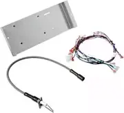 Hayward IDXMOD1930 Ignition Module | IDXMOD1930