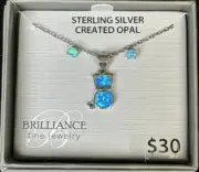 Brilliance Sterling Silver Created Blue Opal Cat Pendant Matching Earrings Set