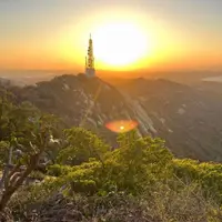 在飛比找蝦皮購物優惠-代購金門特產 浯記一條根 浯洲根 天根草典 王大夫 一條根 