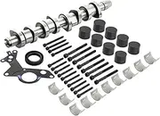 CAMSHAFT KIT & CAM Bearing 1.9 TDI Compatible with A3 A4 A6 VW Multivan Beetle Transporter Touran CS543CPSTD