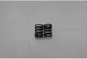 Daytona 26415 Valve Spring Set (25593 Repair Parts)