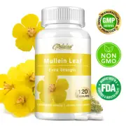 Mullein Leaf 1200mg - Strength Lung Cleanse & Detox Respiratory,Enhance Immunity