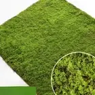 Artificial Turf Moss Grassland Fake Grass Lawn Carpet Artificial Turf Outdoor Gr