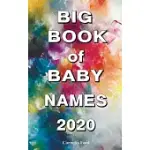 BIG BOOK OF BABY NAMES 2020: DETAILED MEANINGS. BEAUTIFUL NAMES FOR GIRLS, BEAUTIFUL NAMES FOR BOYS. BABY NAMES BOOK 2019-2020